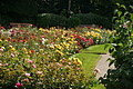 DSC02931 - Bernhard Saalfeld