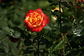 DSC02932 - Bernhard Saalfeld