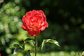 DSC02933 - Bernhard Saalfeld
