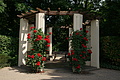 DSC02934 - Bernhard Saalfeld