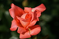 DSC02940 - Bernhard Saalfeld