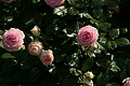 DSC02941 - Bernhard Saalfeld