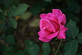 DSC02944 - Bernhard Saalfeld