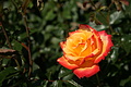 DSC02945 - Bernhard Saalfeld