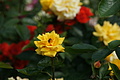 DSC02956 - Bernhard Saalfeld