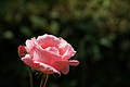 DSC02967 - Bernhard Saalfeld