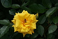 DSC02972 - Bernhard Saalfeld