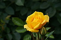 DSC02974 - Bernhard Saalfeld