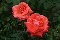 DSC02975 - Bernhard Saalfeld