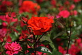 DSC02987 - Bernhard Saalfeld