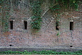 DSC03008 - Bernhard Saalfeld