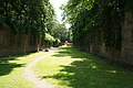 DSC03010 - Bernhard Saalfeld