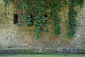 DSC03015 - Bernhard Saalfeld