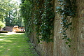 DSC03016 - Bernhard Saalfeld
