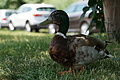 DSC03021 - Bernhard Saalfeld