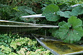 DSC03040 - Bernhard Saalfeld