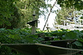 DSC03041 - Bernhard Saalfeld