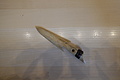 DSC00613 - Bernhard Saalfeld