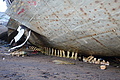 DSC00649 - Bernhard Saalfeld