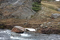 DSC00664 - Bernhard Saalfeld