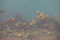 DSC00703 - Bernhard Saalfeld