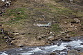 DSC08644 - Bernhard Saalfeld