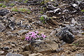 DSC08747 - Bernhard Saalfeld