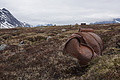 DSC08897 - Bernhard Saalfeld