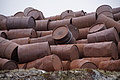 DSC08915 - Bernhard Saalfeld