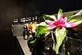 DSC00983 - Bernhard Saalfeld