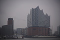 DSC09829 - Bernhard Saalfeld