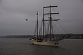 DSC09857 - Bernhard Saalfeld