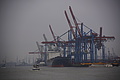 DSC09864 - Bernhard Saalfeld
