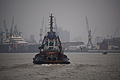 DSC09873 - Bernhard Saalfeld