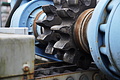 DSC09931 - Bernhard Saalfeld