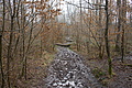 DSC06743 - Bernhard Saalfeld