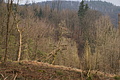 DSC06744 - Bernhard Saalfeld