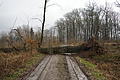DSC06745 - Bernhard Saalfeld