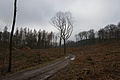 DSC06747 - Bernhard Saalfeld