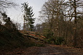 DSC06748 - Bernhard Saalfeld