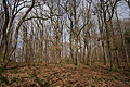 DSC06749 - Bernhard Saalfeld
