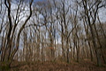 DSC06750 - Bernhard Saalfeld