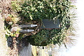DSC06762 - Bernhard Saalfeld