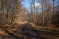 DSC06763 - Bernhard Saalfeld
