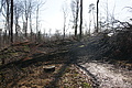 DSC06766 - Bernhard Saalfeld