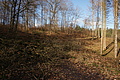 DSC06767 - Bernhard Saalfeld