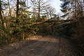 DSC06768 - Bernhard Saalfeld