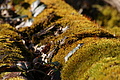 DSC06771 - Bernhard Saalfeld