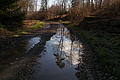DSC06772 - Bernhard Saalfeld