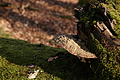 DSC06773 - Bernhard Saalfeld